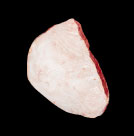 CPicaña de FREASA