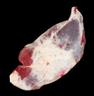 Pulpa Blanca de FREASA